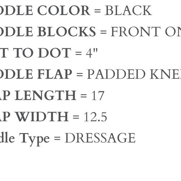 Passier Dressage Saddle - Picture 2 of 4